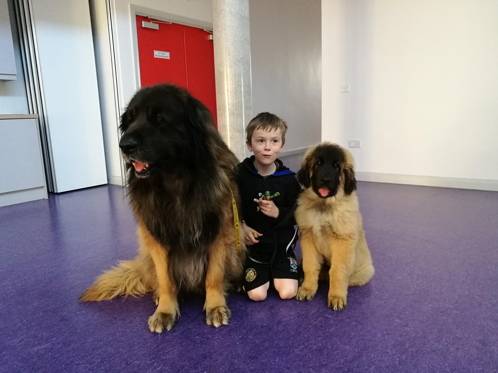 Tassu with Baloo at school