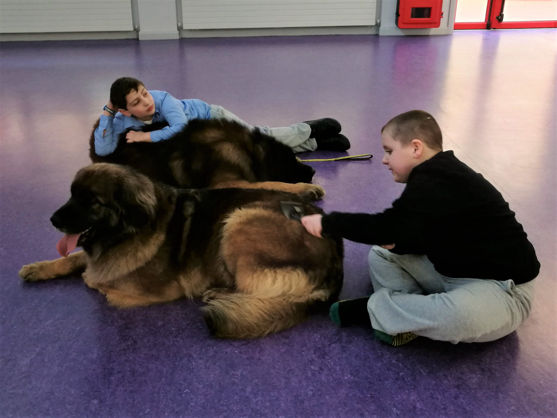 Tassu and Zeta and kids at school