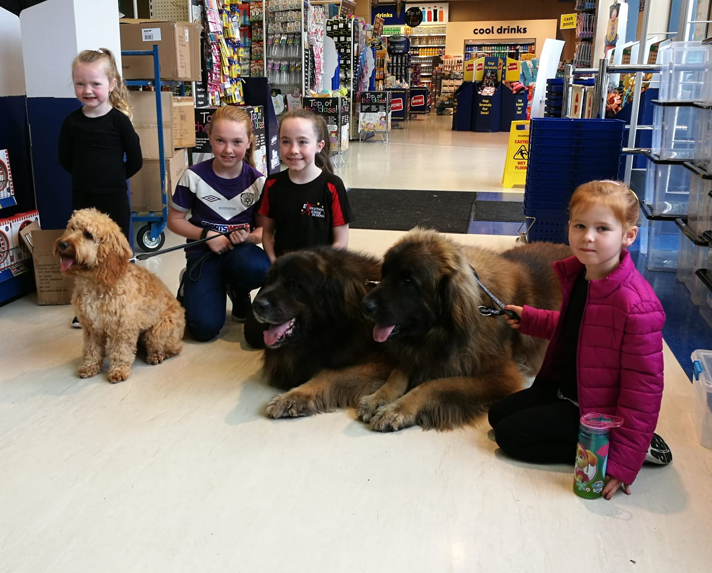 Tassu , Baloo and Daisy with kids at Euro Giant