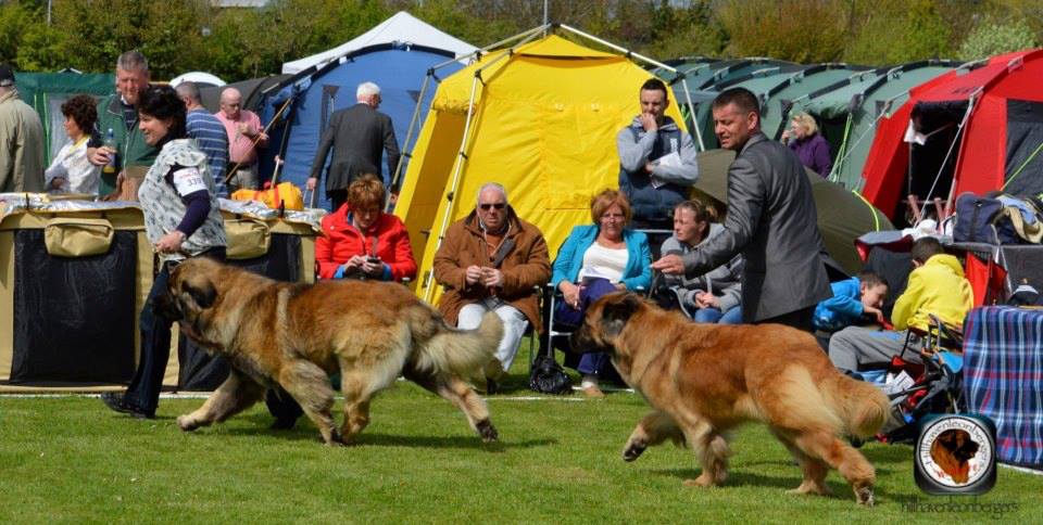 Delboy running