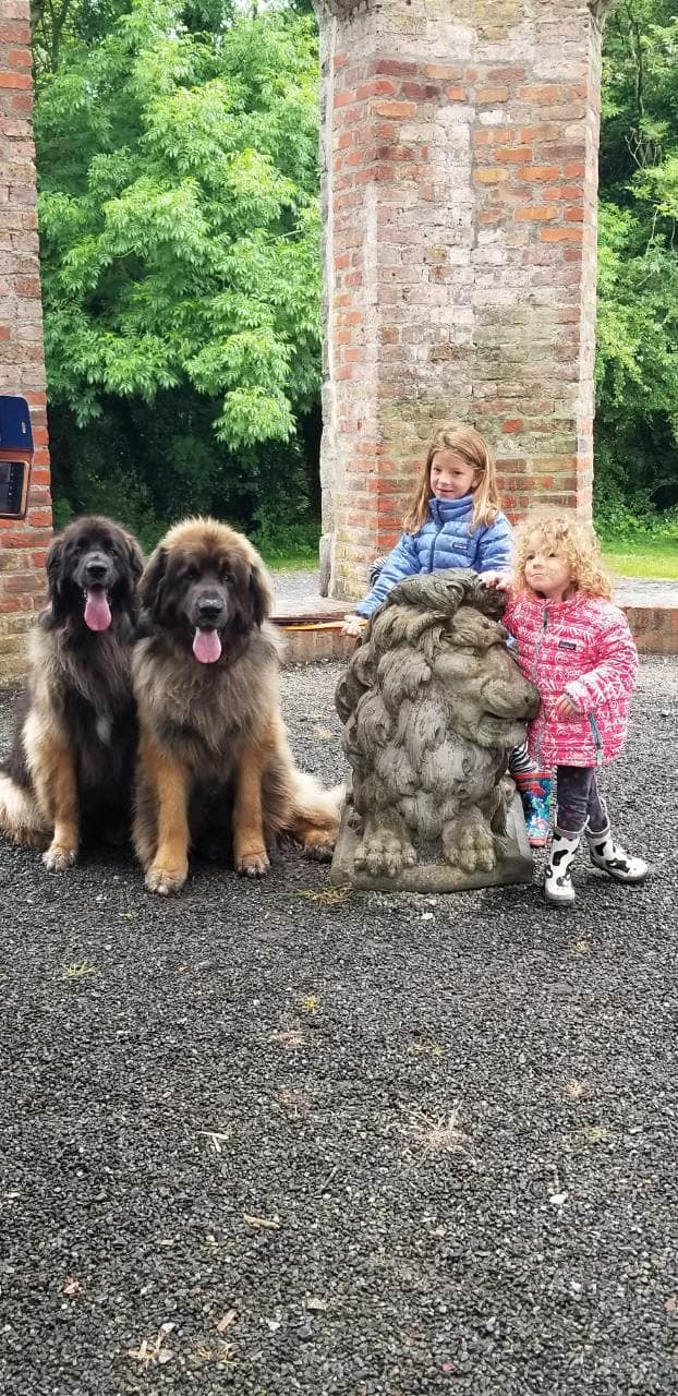 Jasmine and Baloo at Belvedere House Gardens