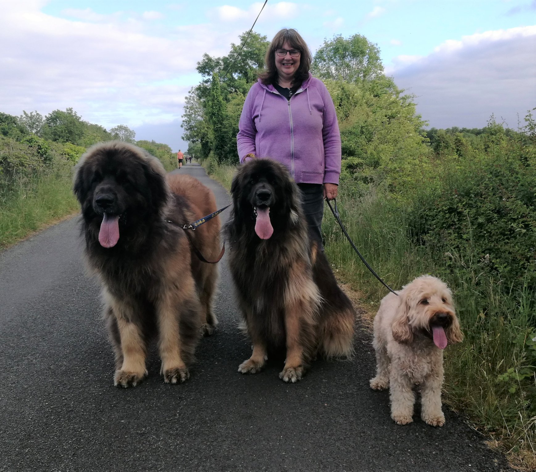 Daisy on walk with leos