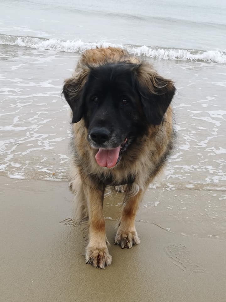 Arthur at beach