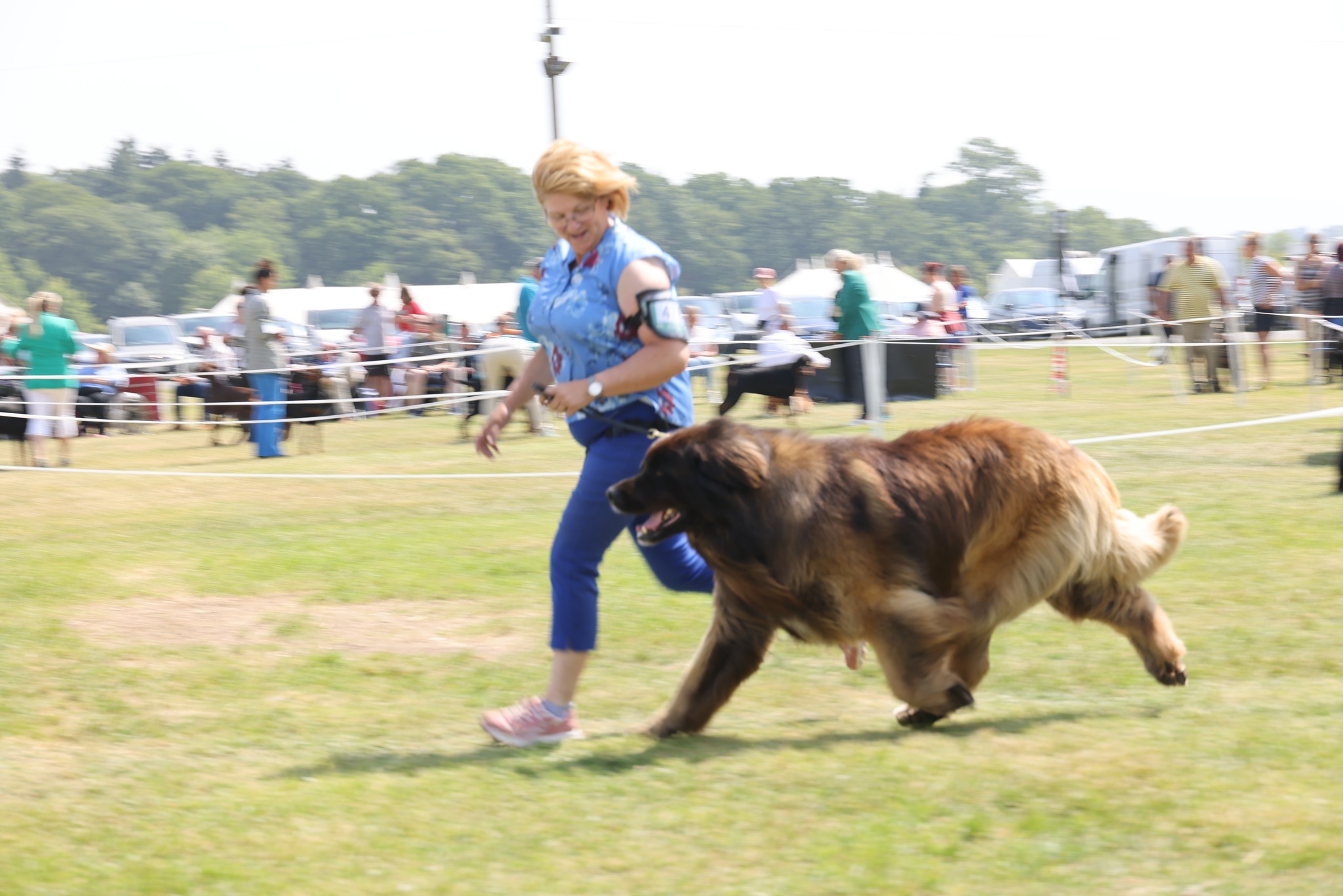 Kobo running 3 counties