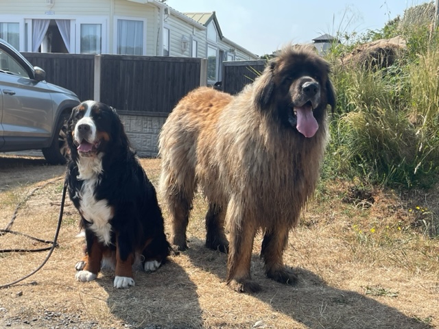 Ralfie with his friend